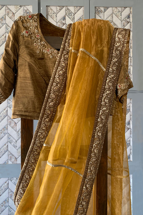 Gold tissue sari with rich border and gota lines
