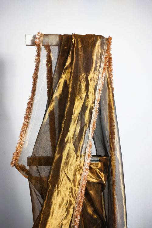Gold tissue saree with  Phuljhari lace