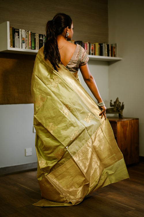 Pista green banarasi silk sari