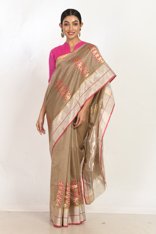 Chinar Cotton Silk handloom Sari