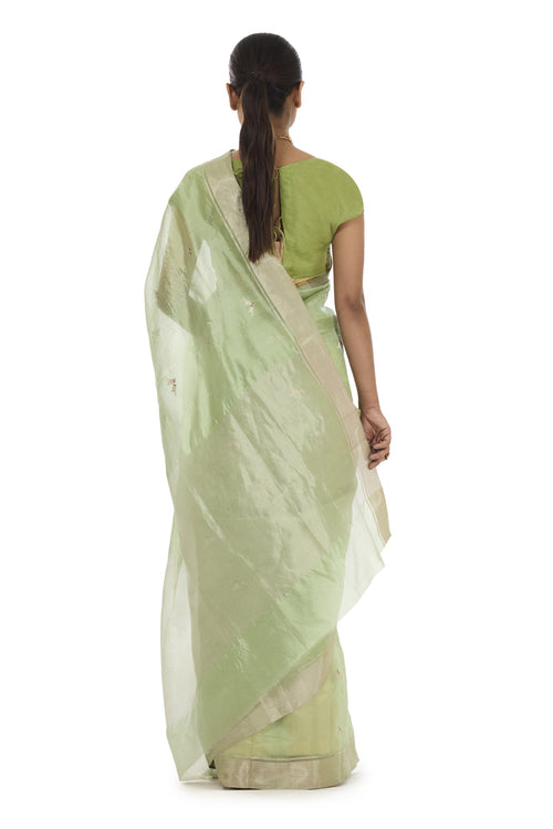 Sea green lovebirds silk saree