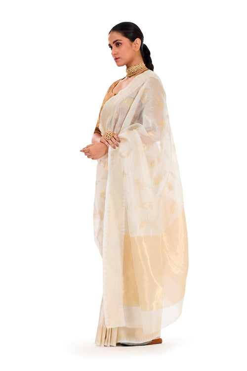 RABBIT DESIGN SAREE
