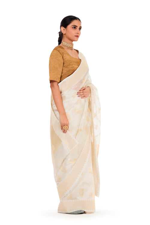 RABBIT DESIGN SAREE