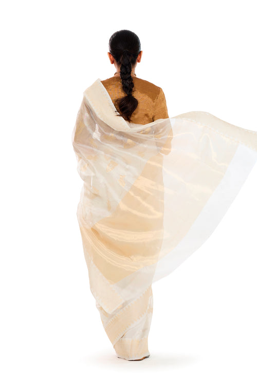 RABBIT DESIGN SAREE