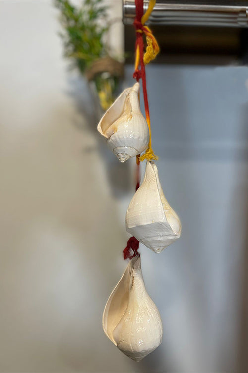 Shankh hanging 
Material - Pure Shilp Shankh