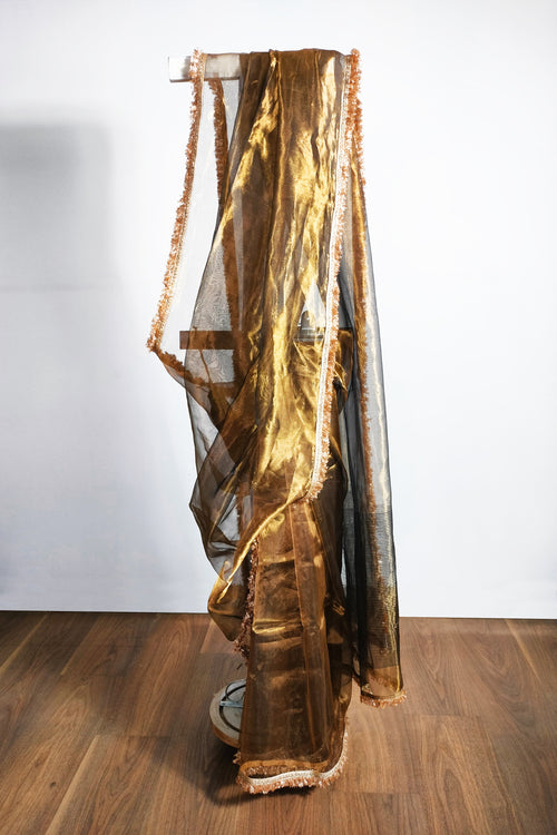 Gold tissue saree with  Phuljhari lace